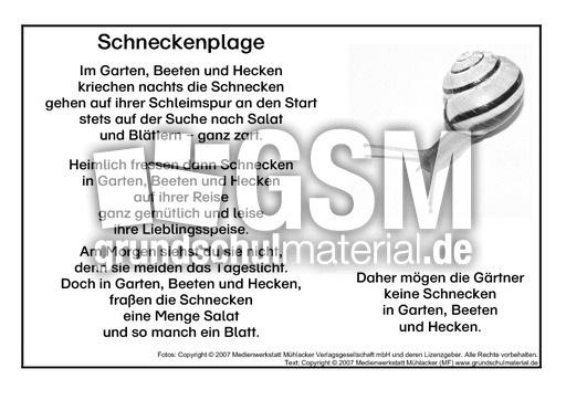Schnecken-Sw.pdf